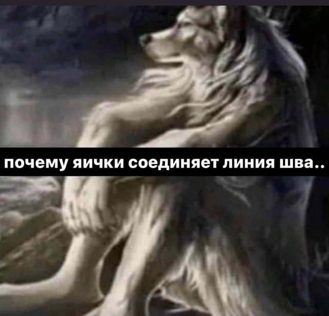 Всего понемногу. От 17.04.23