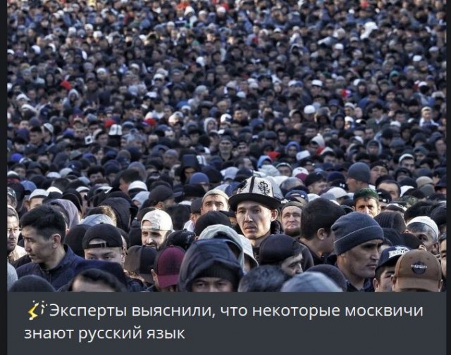 Победная поступь идиотизма по планете – том 12