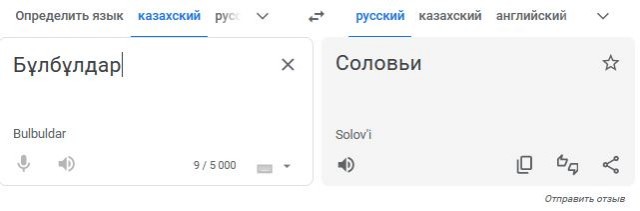 "Астрахань, Оренбург, Тюмень и Алтай всегда были казахскими, а не русскими"