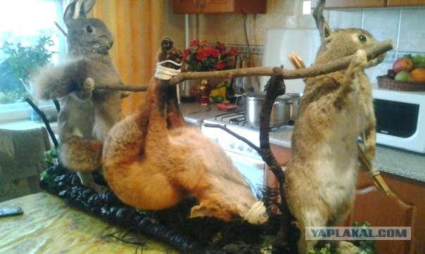 Это что ? о_О