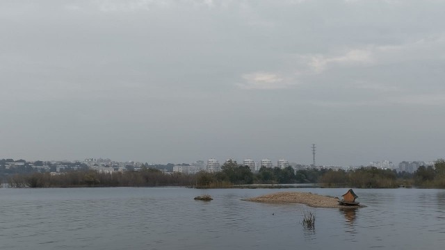 От края до края. Дневник путешествия во Владивосток