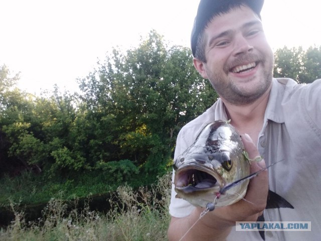 Хороший день на рыбалке