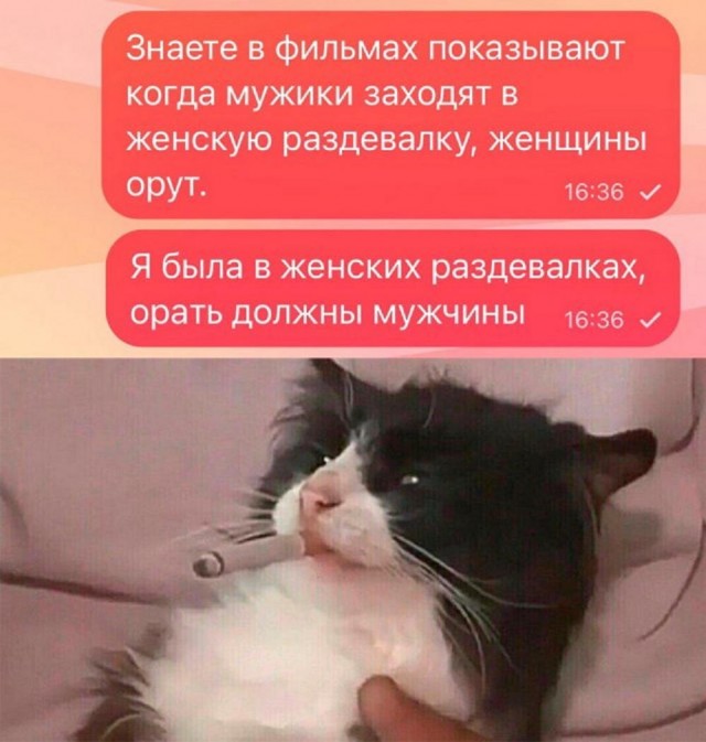 Баяны разной степени давности.
