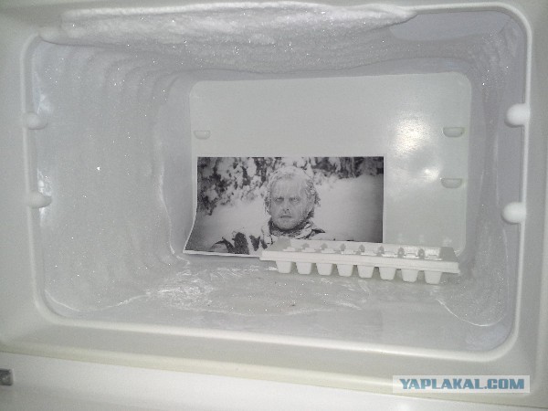 О заморозке продуктов