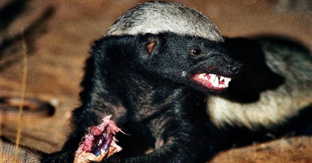 На святое покусилась⁠⁠