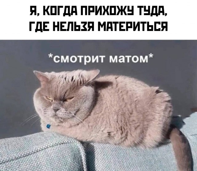Весёлый полтишок 04.06.24