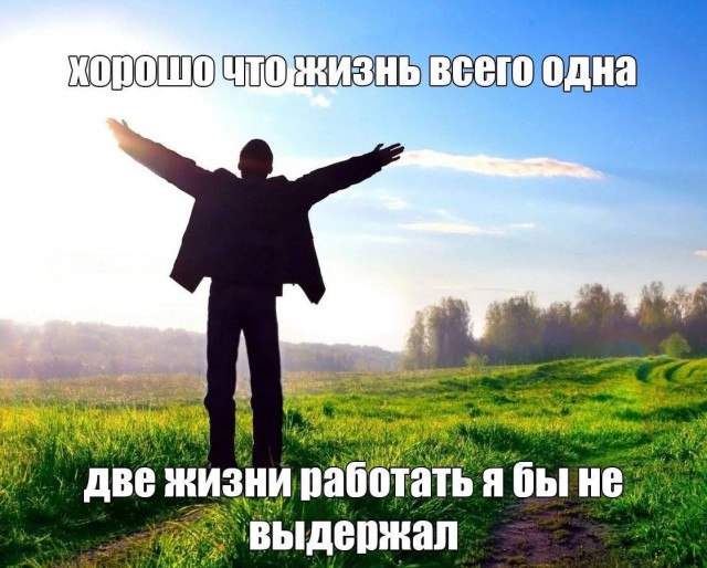 "Синдром Лебовски". Почему мужчины на Западе отказываются работать