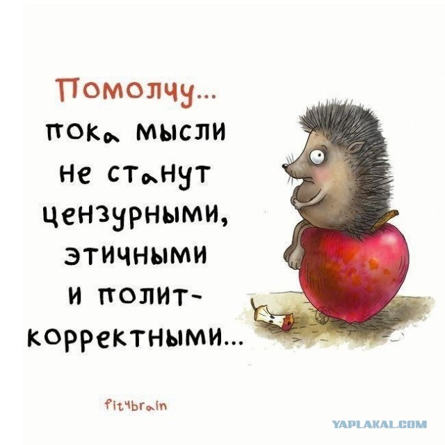 Макгрегор отреагировал на новость об аресте счетов Нурмагомедова