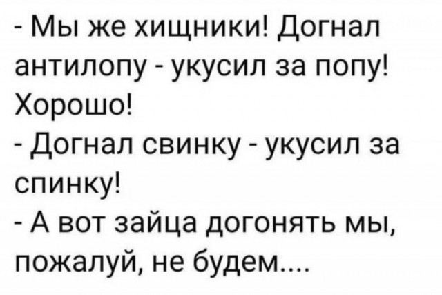 Завалялось тут случайно немного забавных картинок в субботу