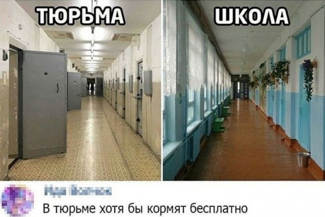 Бывший начальник женской колонии возглавил школу и детский сад в Омске