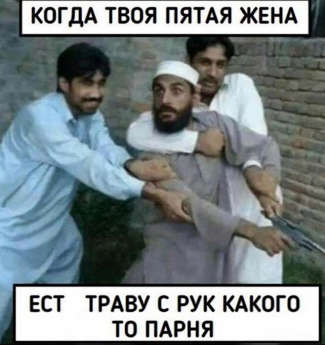 Веселые картинки к пятнице (18.10)