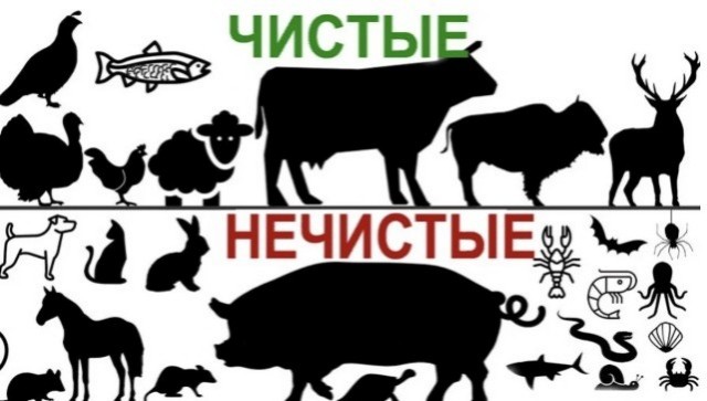 Новый товар России для мирового рынка, способный принести миллиарды