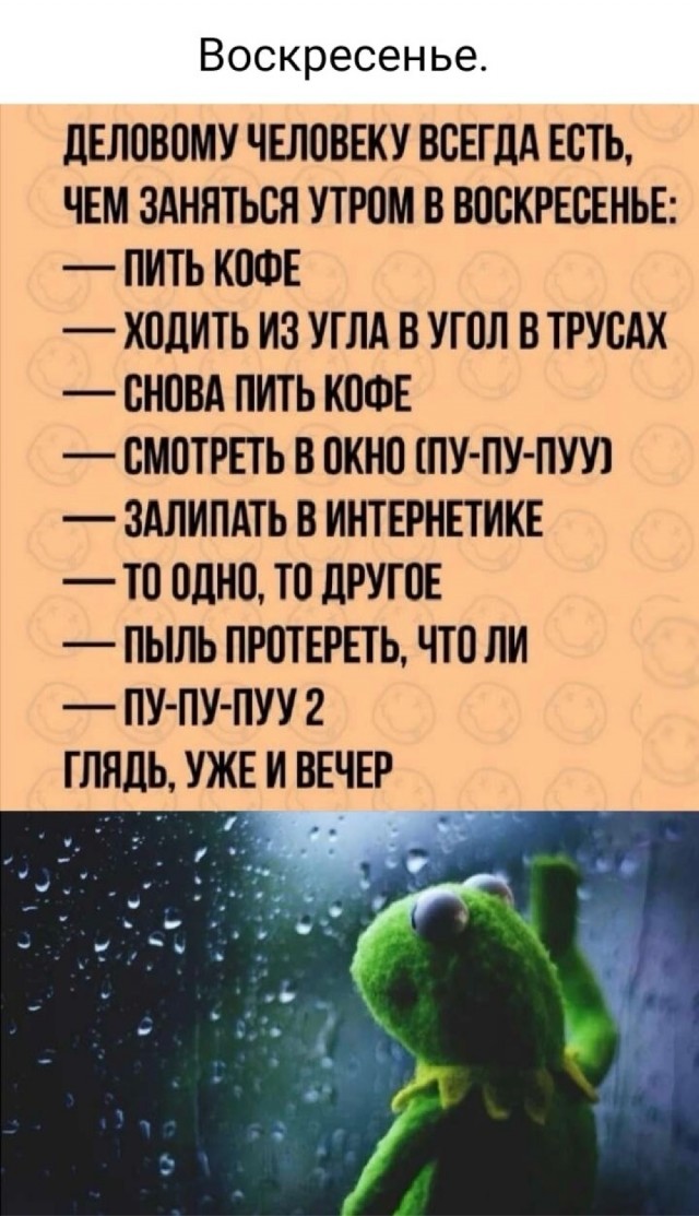 Так себе картинки 25.11.24
