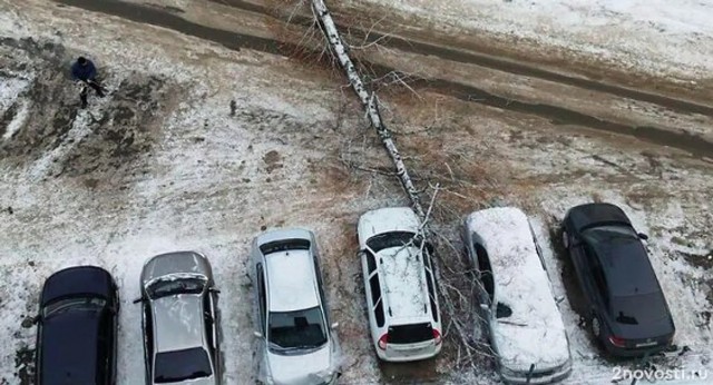 В Челябинске рабочие пытались убрать дерево, чтобы оно не упало на машины, но оно упало на машины
