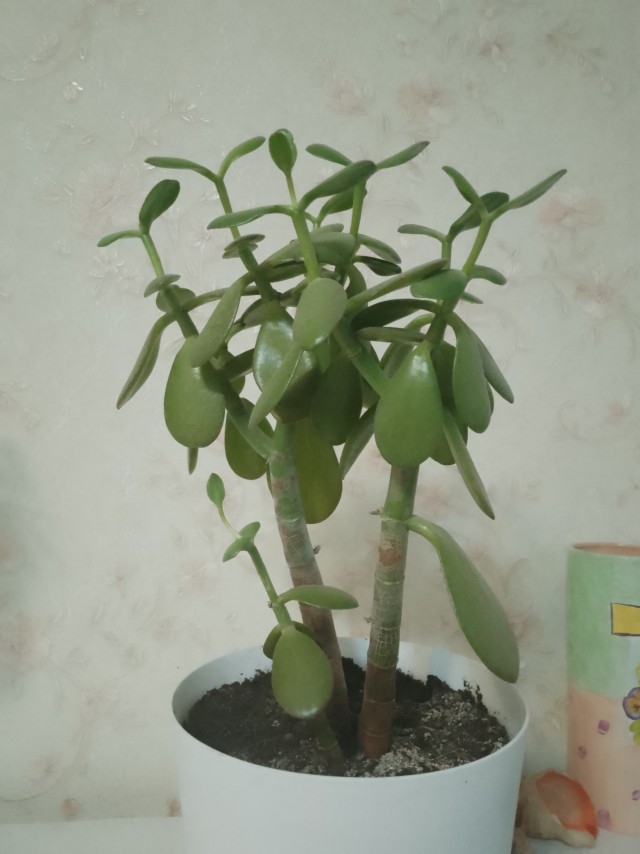 Што делать с этим..