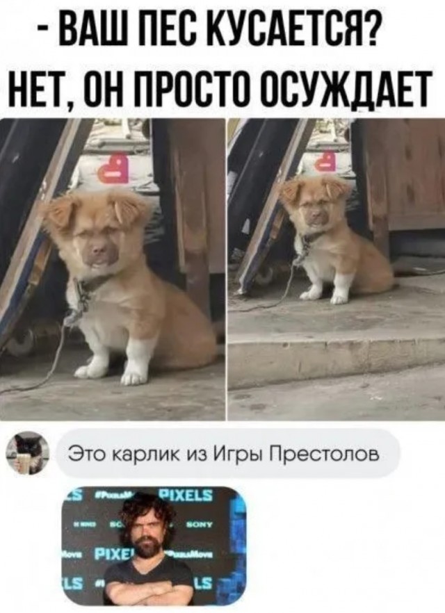 Завалялось тут случайно немного забавных картинок