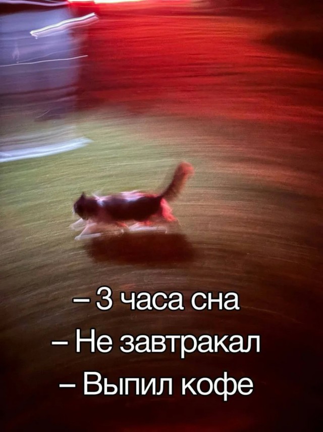 Смешные картинки с надписями и чужой кот