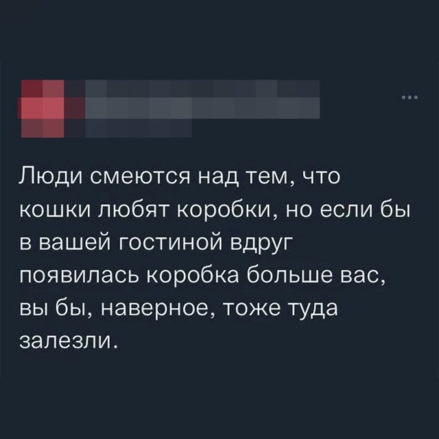 Нуштош 04.07.2025. Обитатели обители теней (s4e2)