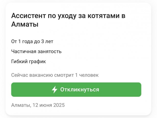 «Ассистент по уходу за котятами»