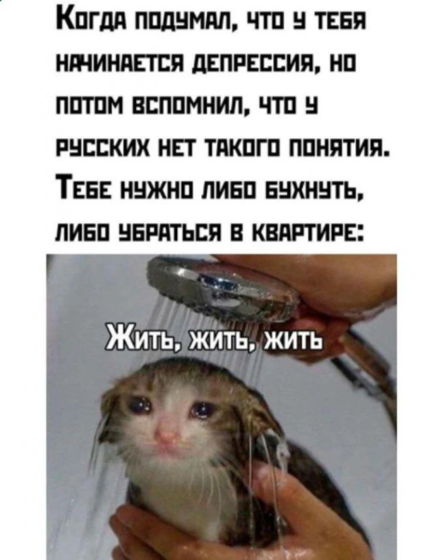 Так себе картинки 06.07.25