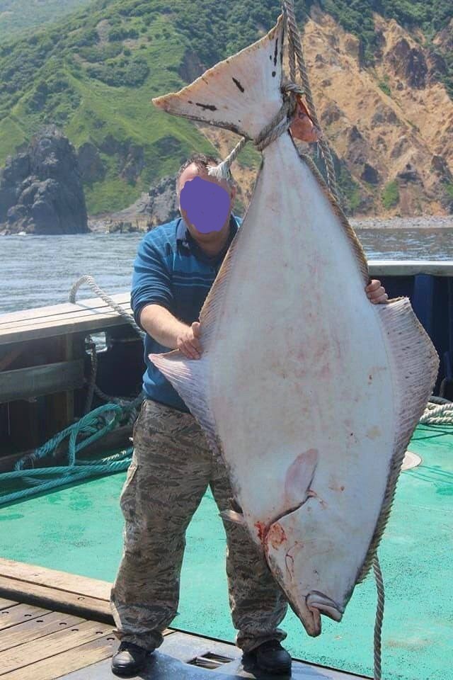 Достала политота, рыбалки псто.