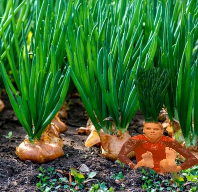 Фотожаба Гимнасточка