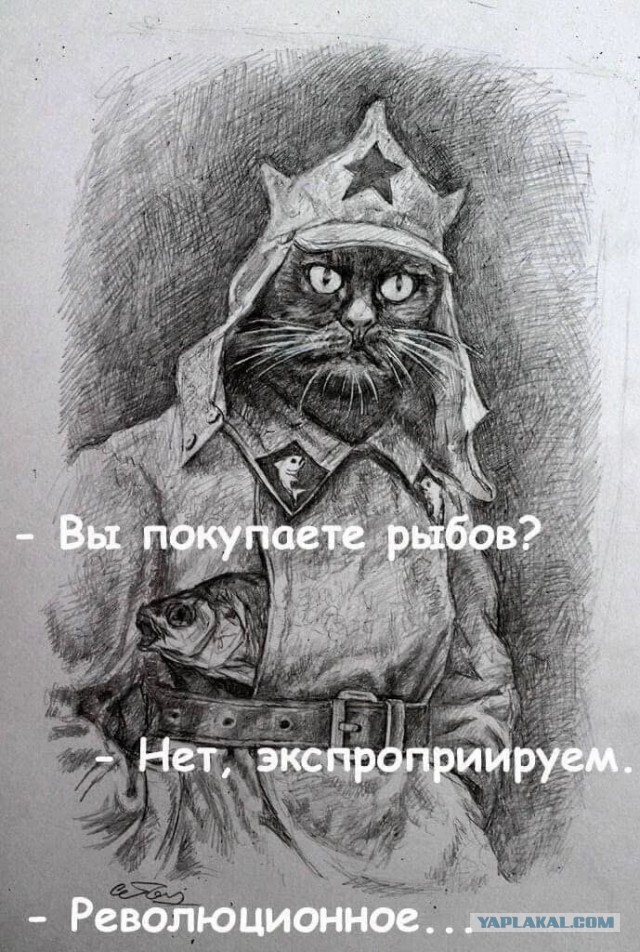 Небаянистая деградация 3
