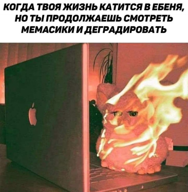 Картинки для деградации 97 (разной степени свежести)