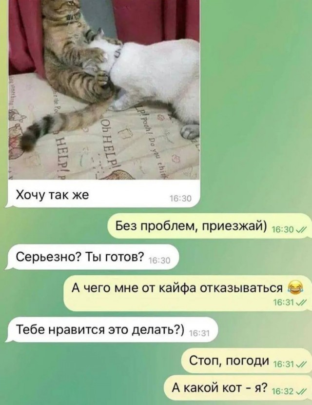 Картиночки, баянчики 26 декабря