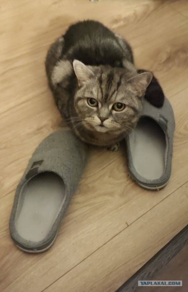 Беспредел