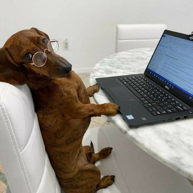 Картинок пост на 04.03.26