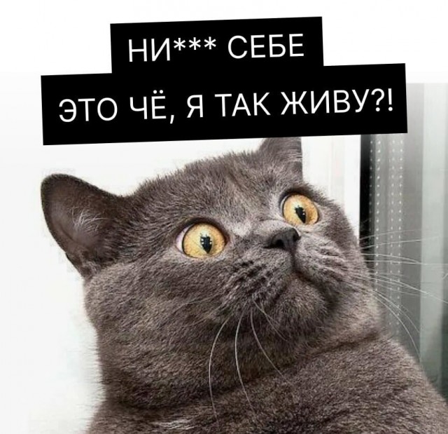 Парижская неделя моды 2026: