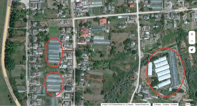 Редиска парадоксов