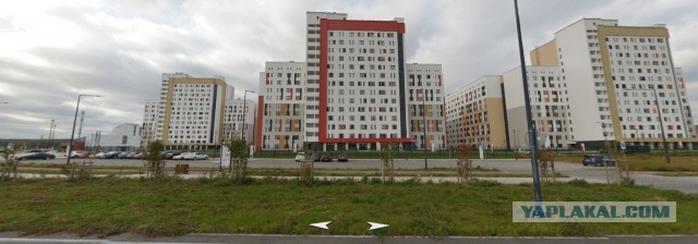 Самая большая зарплата среди глав свердловских вузов оказалась у ректора УрФУ