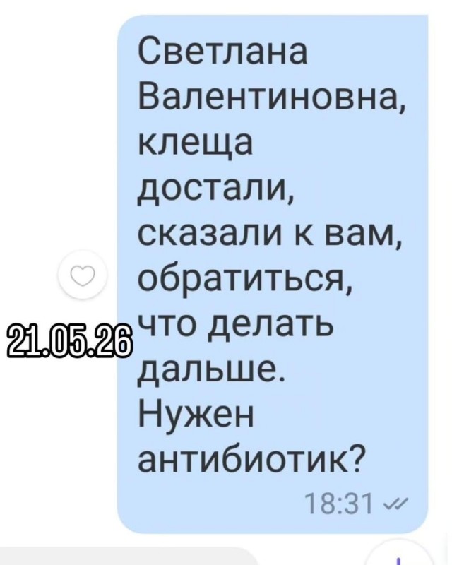 Эзотерики и всякие тарологи без постоянного графика работы почему-то думают что у остальных так же.