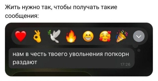 Картинки для деградации 242 (разной степени свежести)