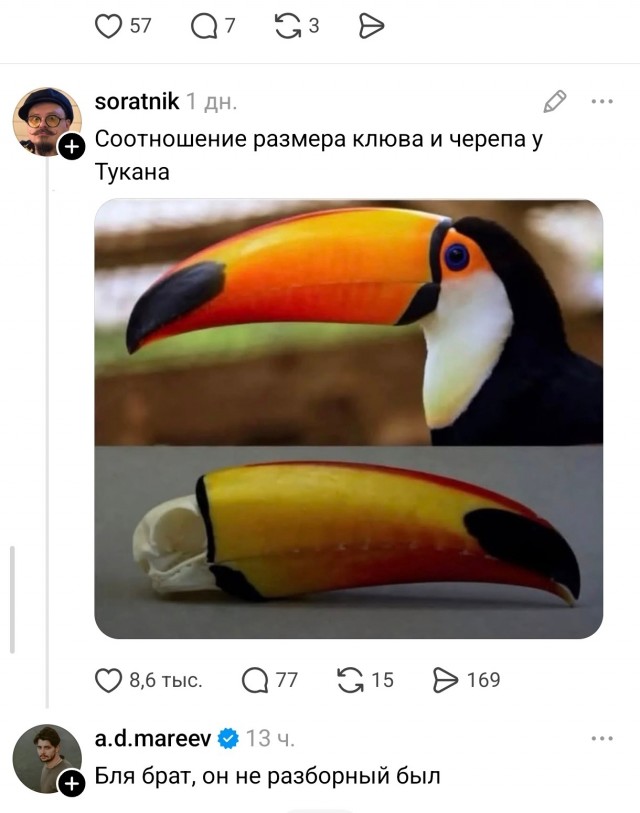 Тукан