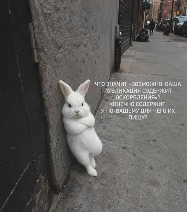Картинки на 01.09.26