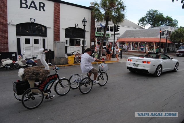Каникулы во Флориде
