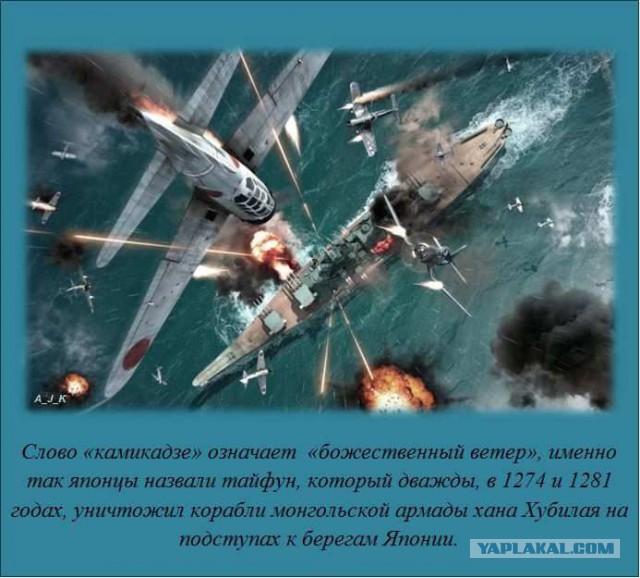 20 фактов обо всем