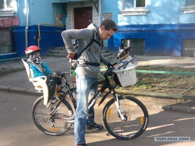 Детский велоприцеп