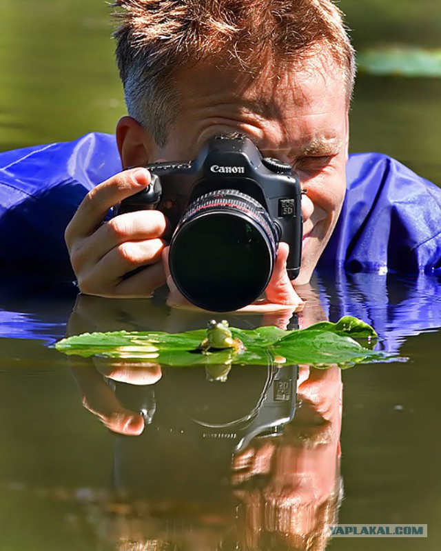 На что идут фотографы в погоне за снимком