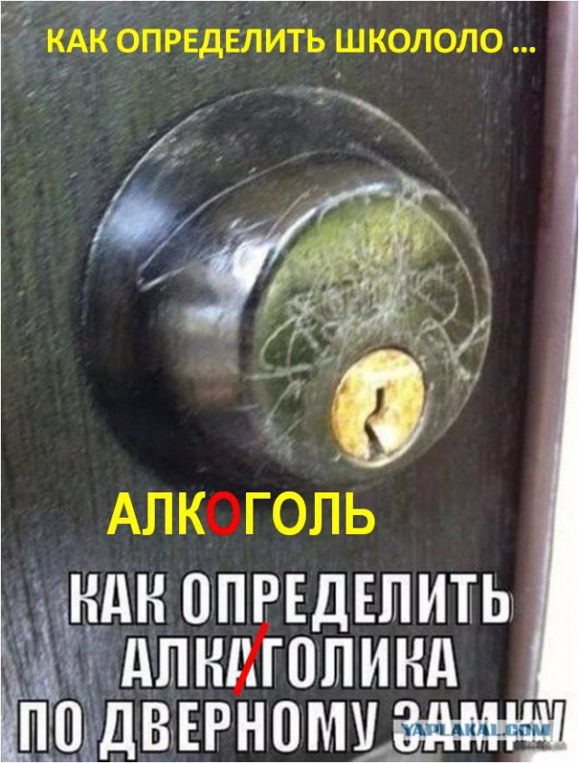 Подборка прикольных картинок