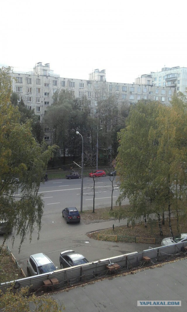 А что у вас за погода сейчас?