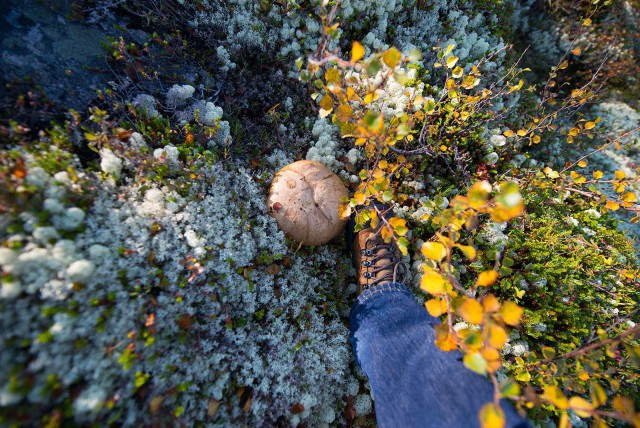 Поездка на Кольский полуостров.