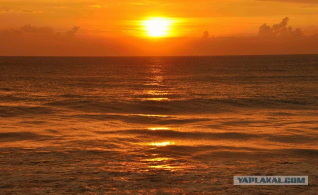 Самостоятельное путешествие в Шри-Ланку