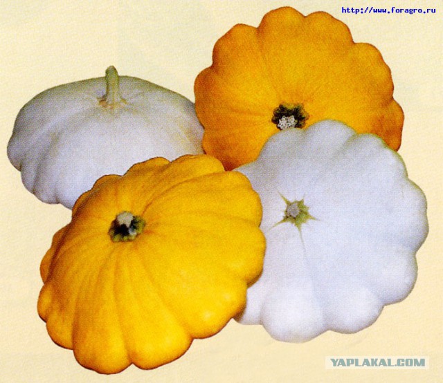 Мужчине грозит срок за убийство любовницы огурцом