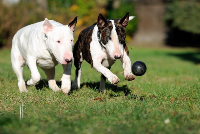 Красивые фото