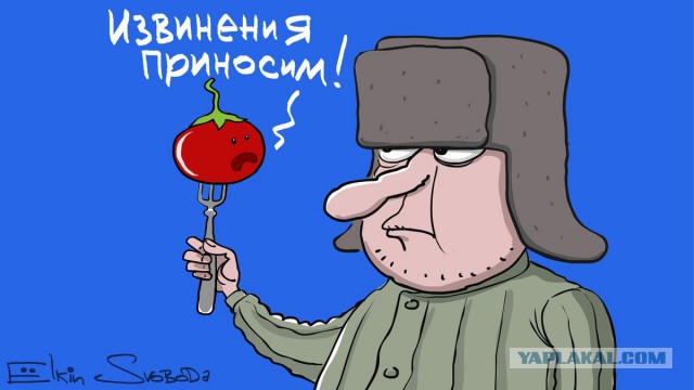 Турция заявила о готовности выплатить компенсацию за сбитый Су-24
