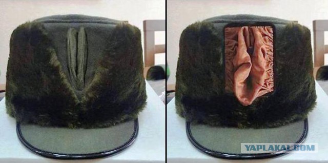 Политический юмор